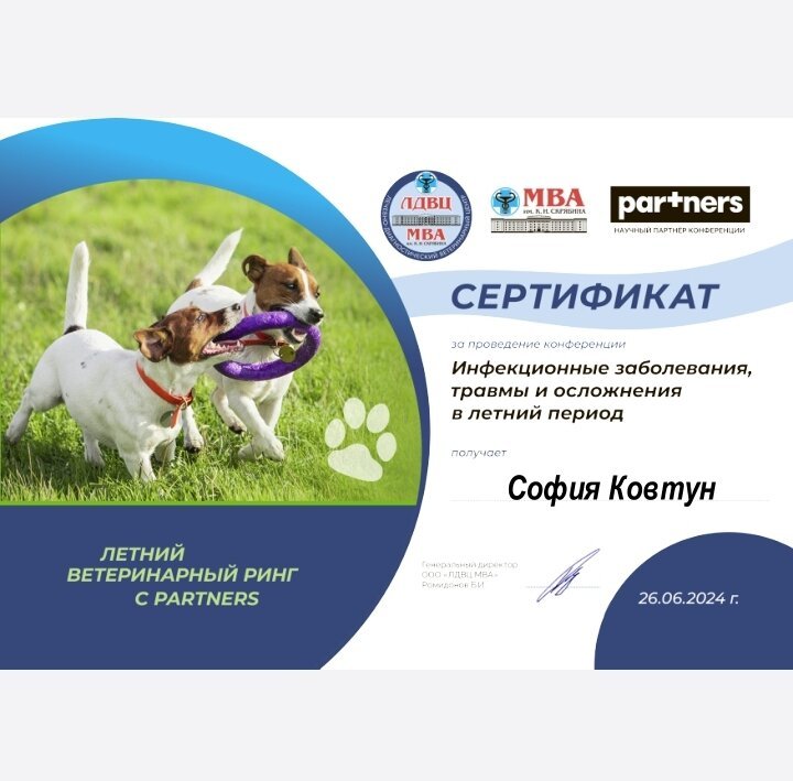 Документ или сертификат