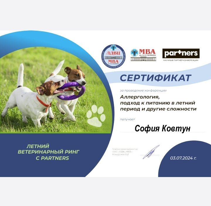 Документ или сертификат