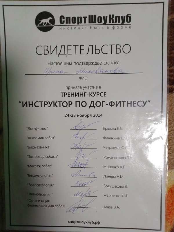Документ или сертификат