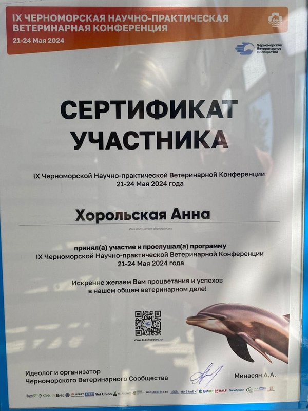 Документ или сертификат