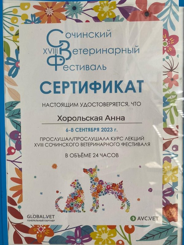 Документ или сертификат