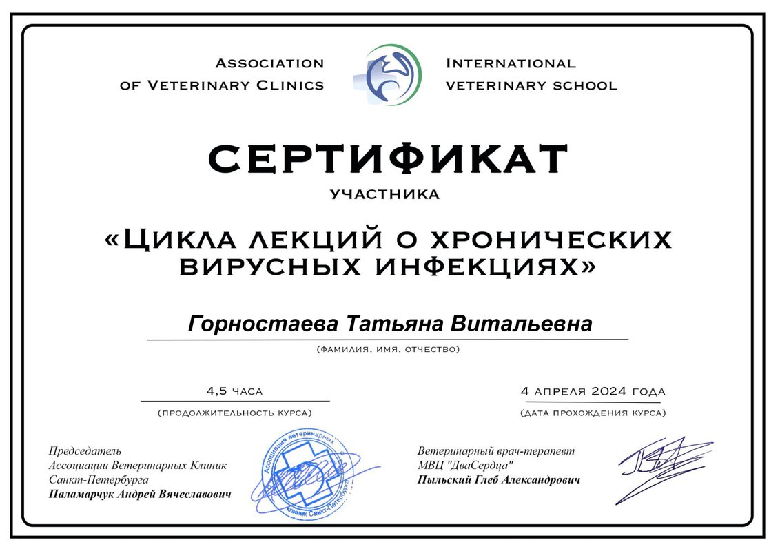 Документ или сертификат