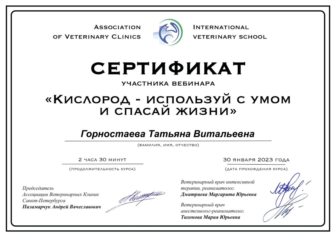 Документ или сертификат