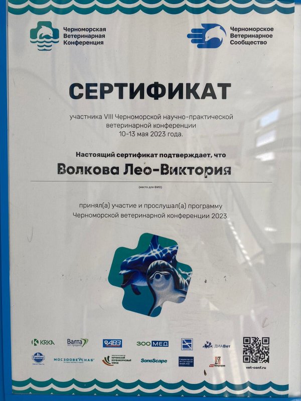 Документ или сертификат
