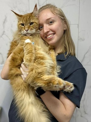 Фото врача Светлова Анна Кирилловна