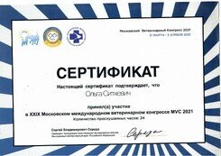 Документ или сертификат