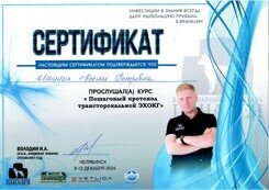 Документ или сертификат