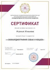 Документ или сертификат