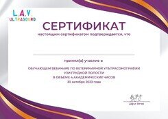 Документ или сертификат