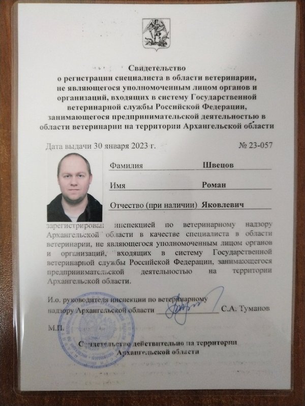 Документ или сертификат
