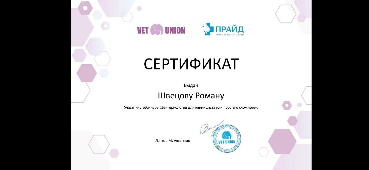 Документ или сертификат