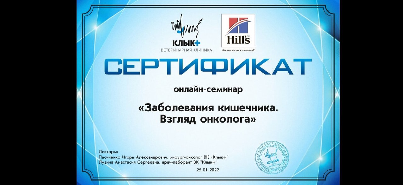 Документ или сертификат