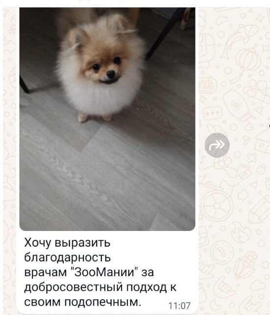 Фото врача