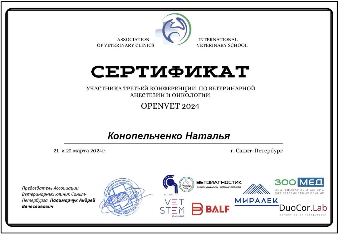 Документ или сертификат