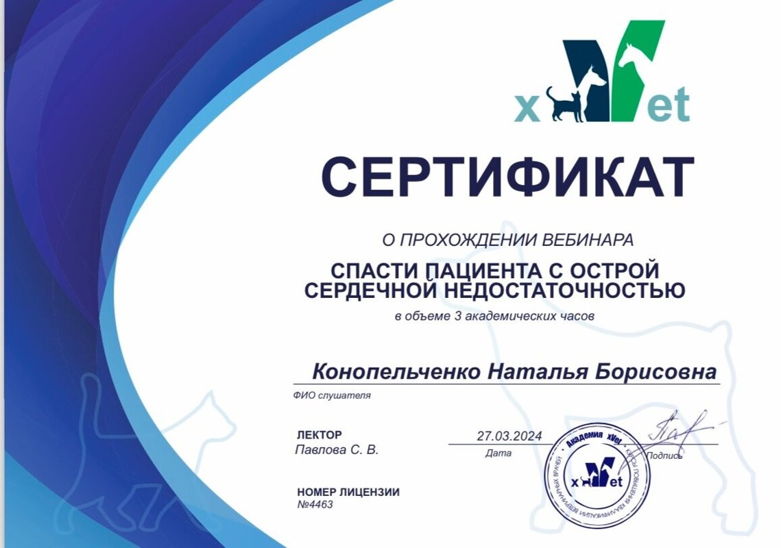Документ или сертификат
