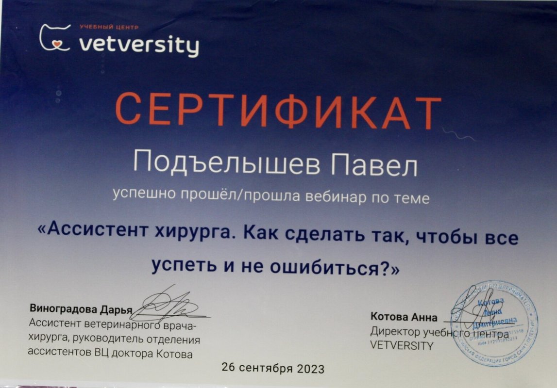 Документ или сертификат