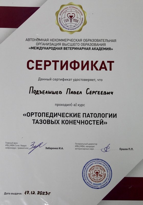 Документ или сертификат