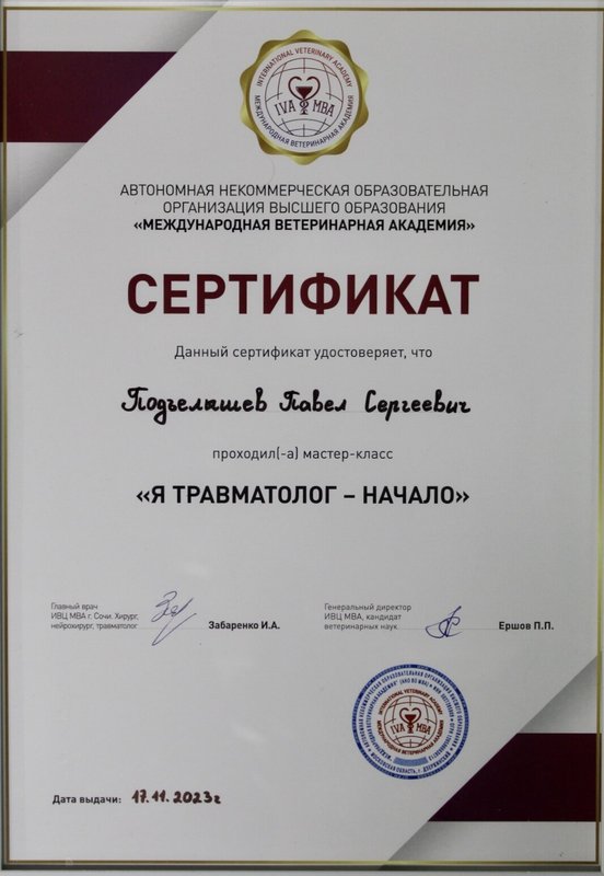 Документ или сертификат