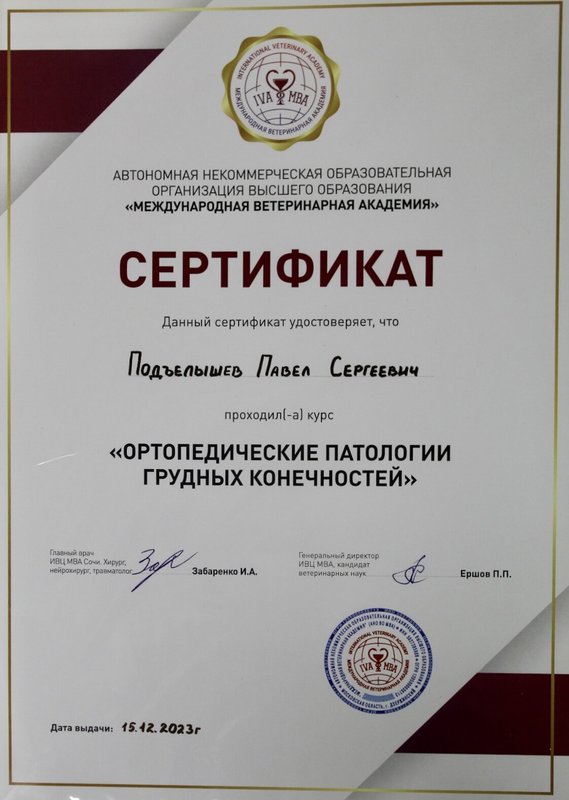 Документ или сертификат
