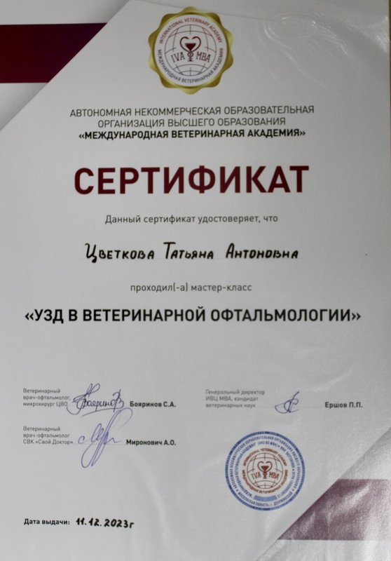 Документ или сертификат