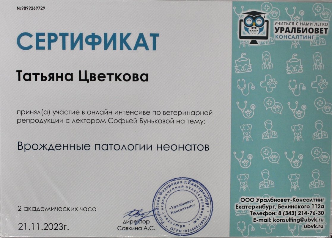 Документ или сертификат