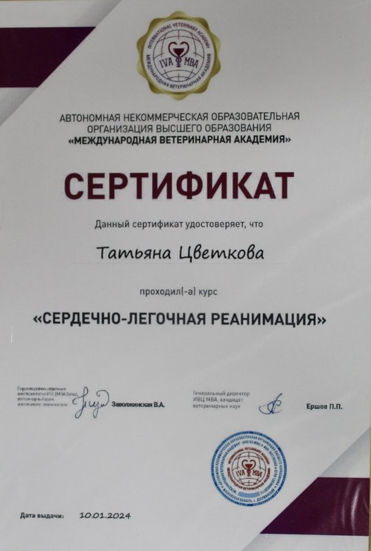 Документ или сертификат