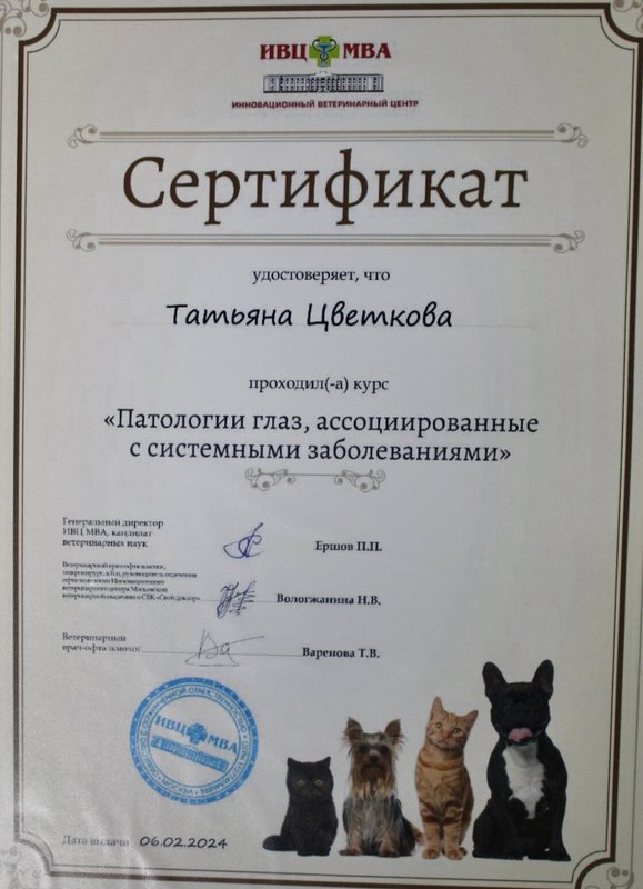 Документ или сертификат