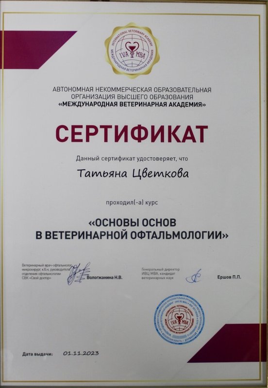 Документ или сертификат