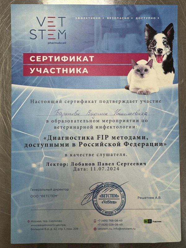 Документ или сертификат