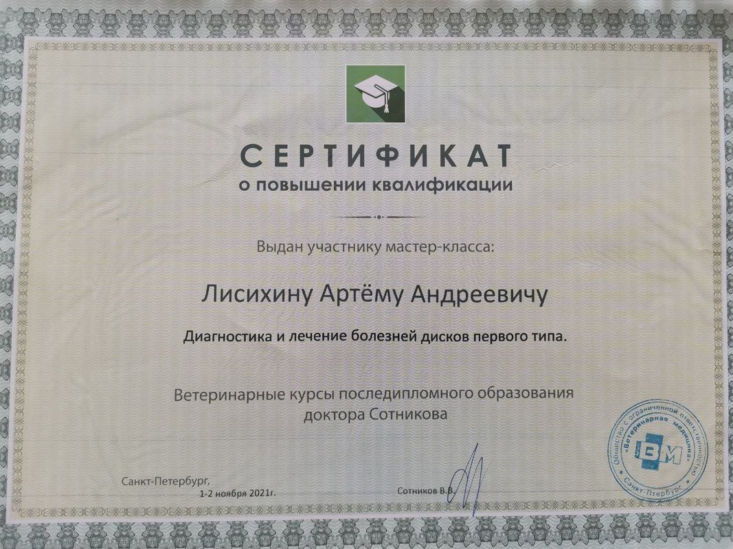 Документ или сертификат