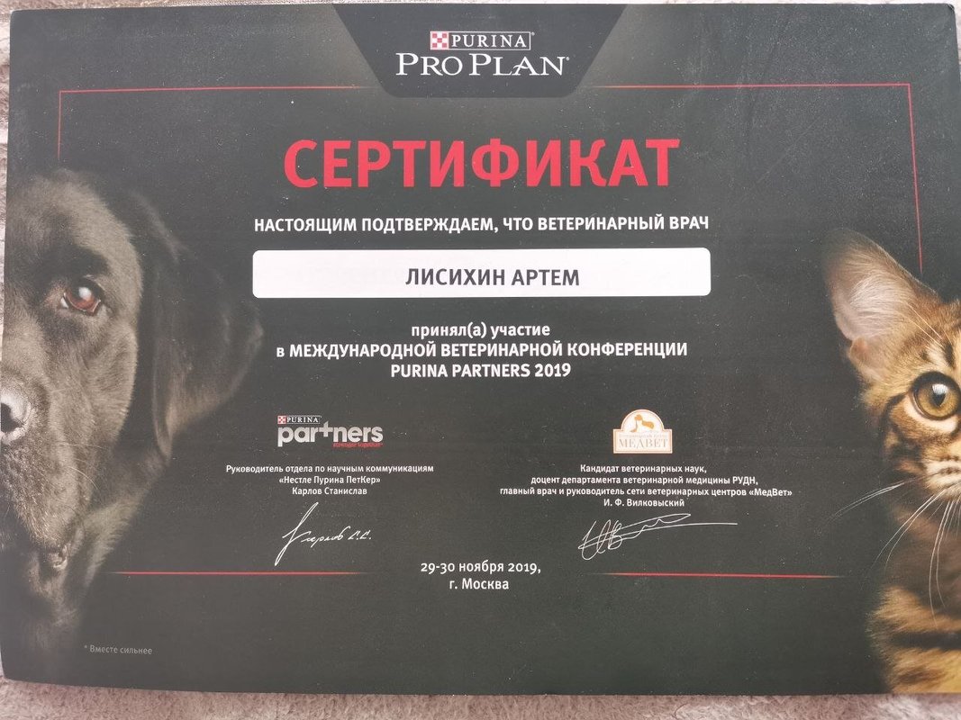 Документ или сертификат