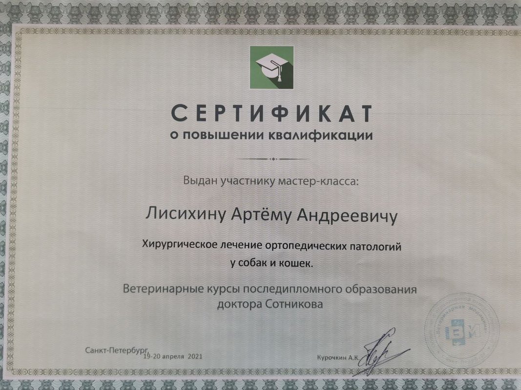 Документ или сертификат