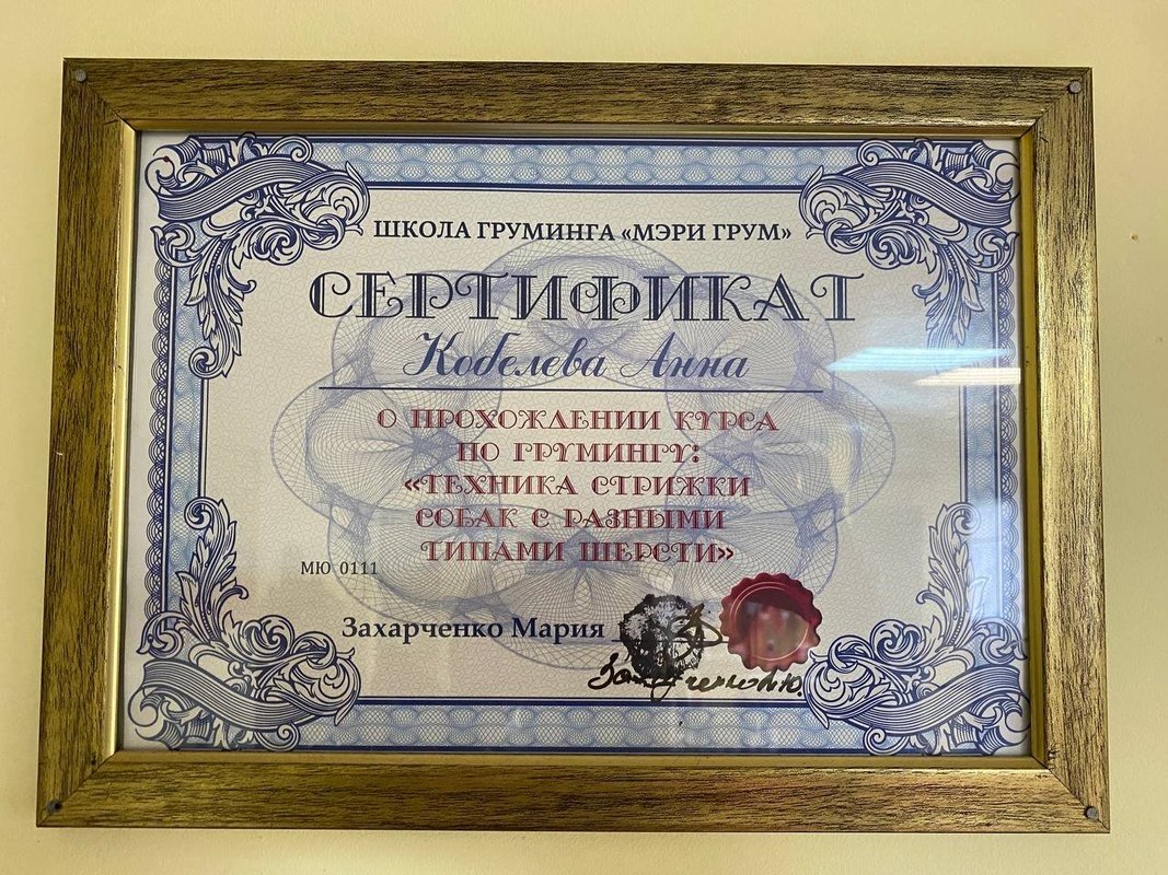 Документ или сертификат