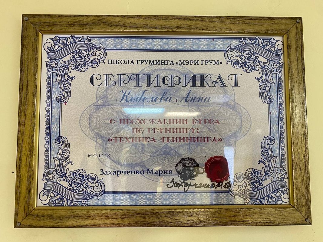 Документ или сертификат