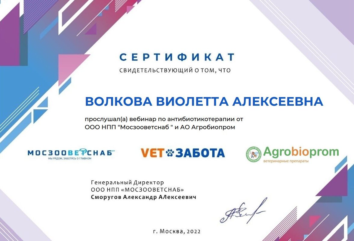 Документ или сертификат