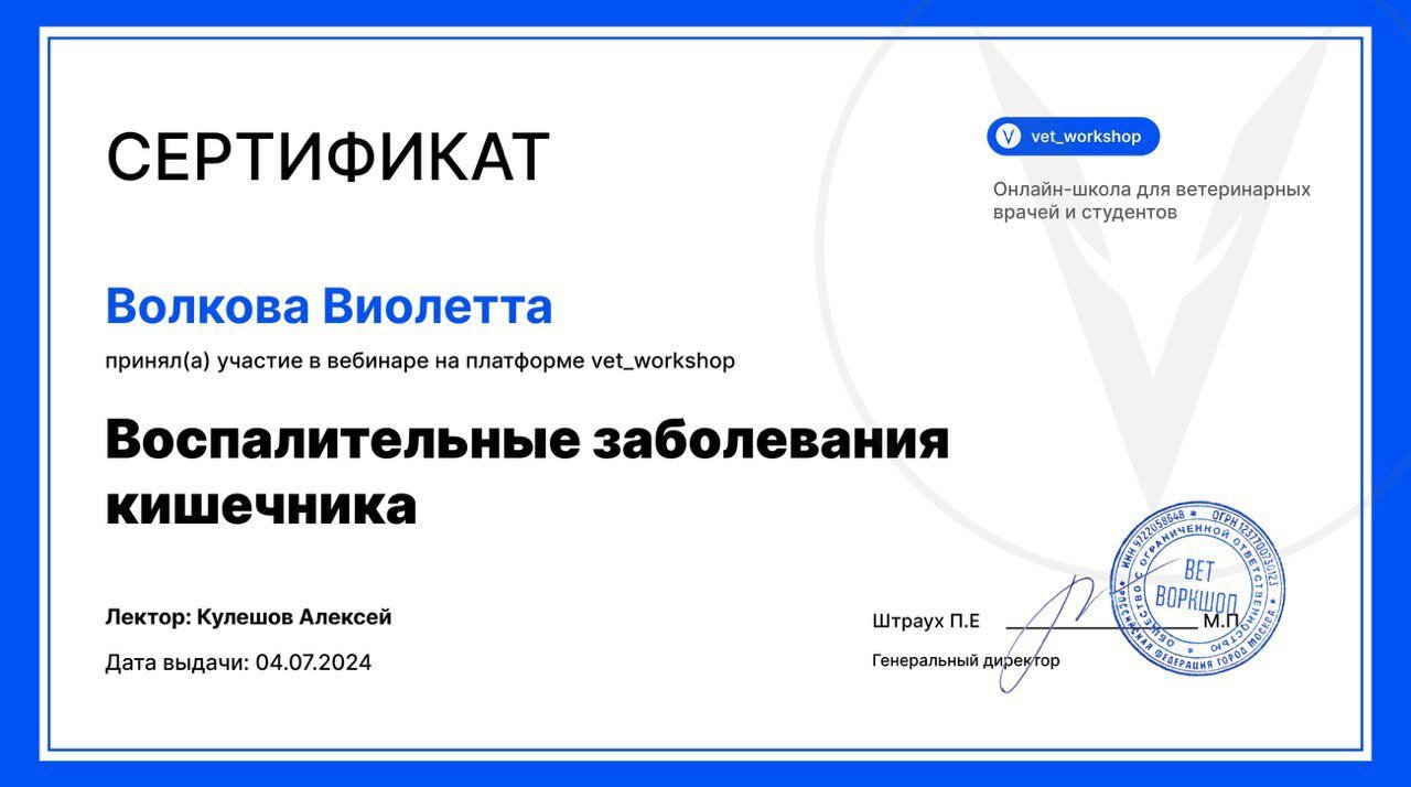 Документ или сертификат