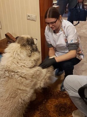 Фото врача Коршунова Ольга Сергеевна