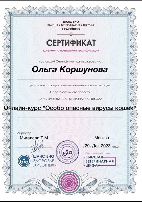Документ или сертификат