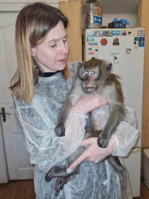 Фото врача Гоголева Мария Юрьевна