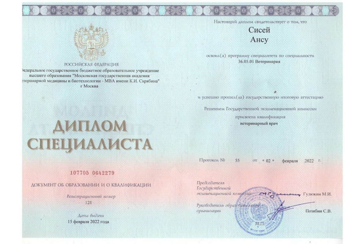 Документ или сертификат
