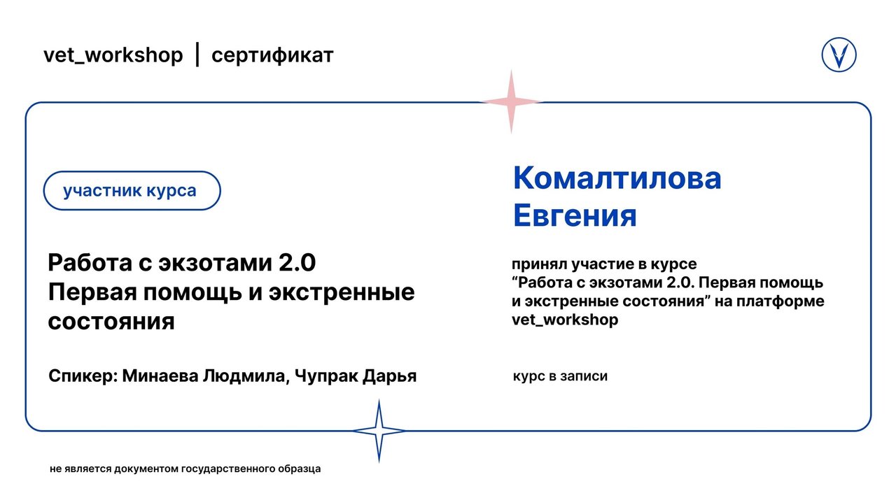 Документ или сертификат