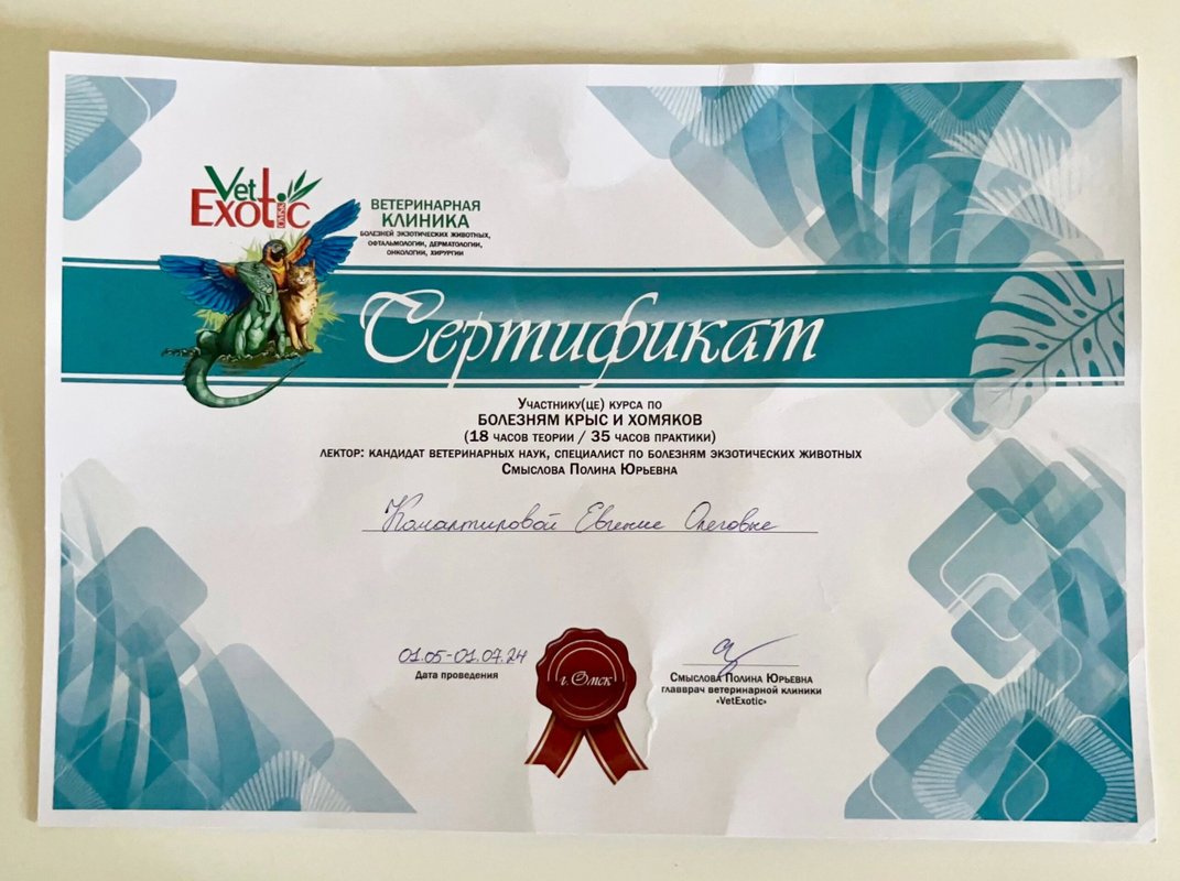 Документ или сертификат