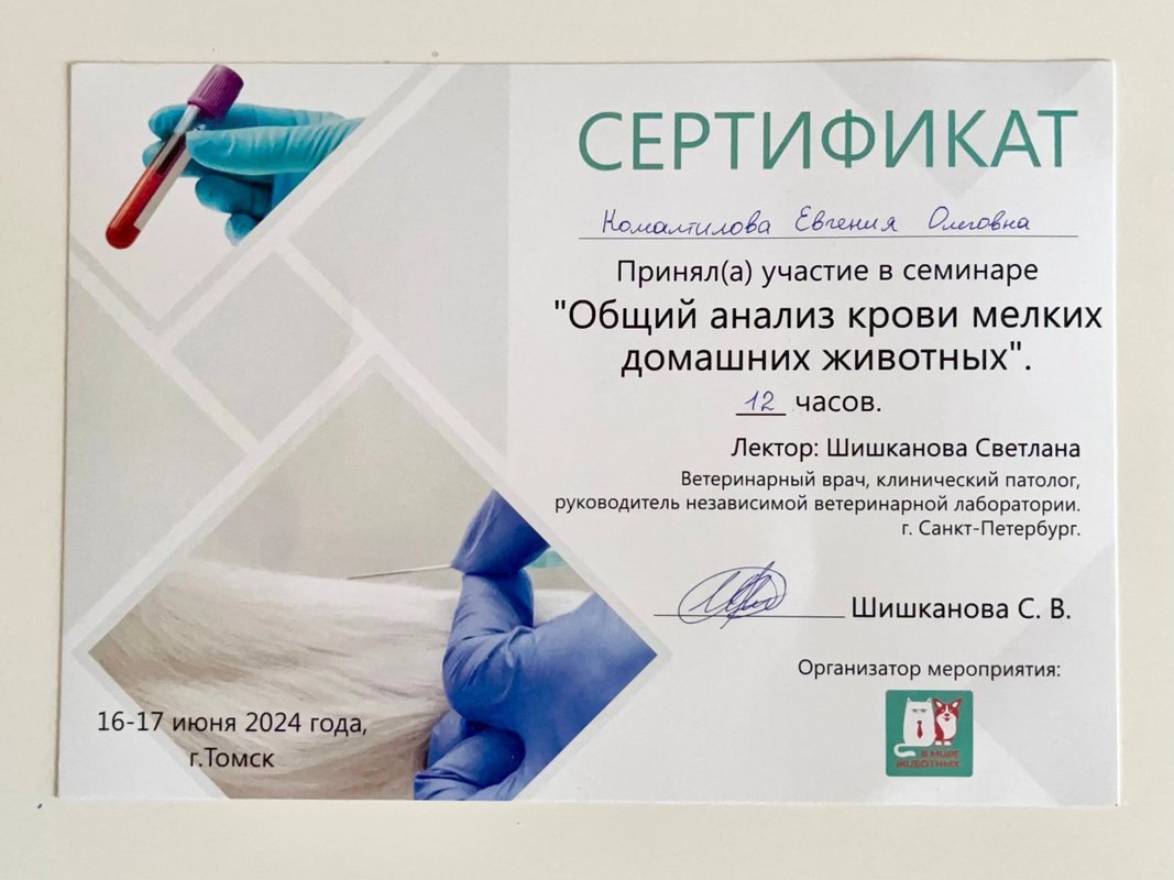 Документ или сертификат
