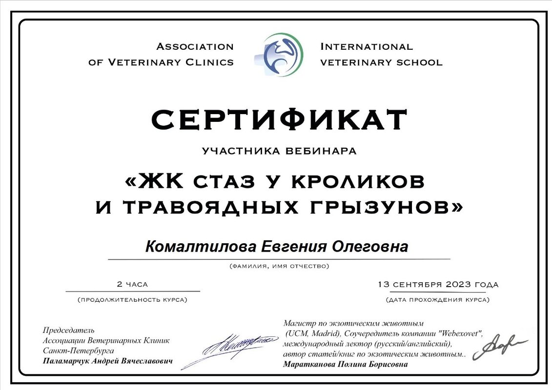 Документ или сертификат