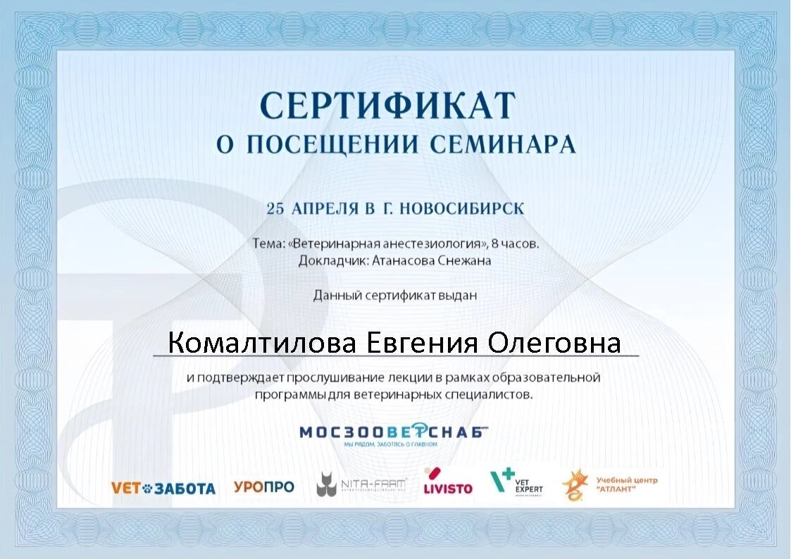 Документ или сертификат