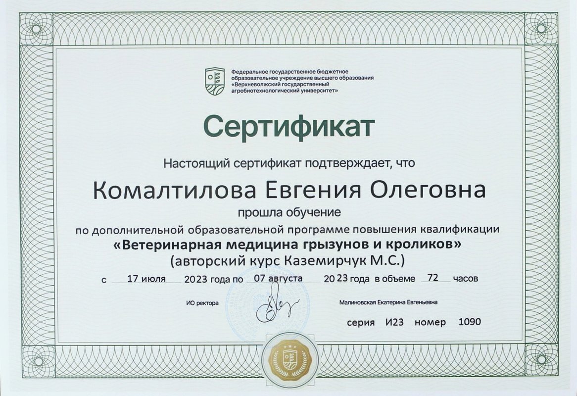 Документ или сертификат