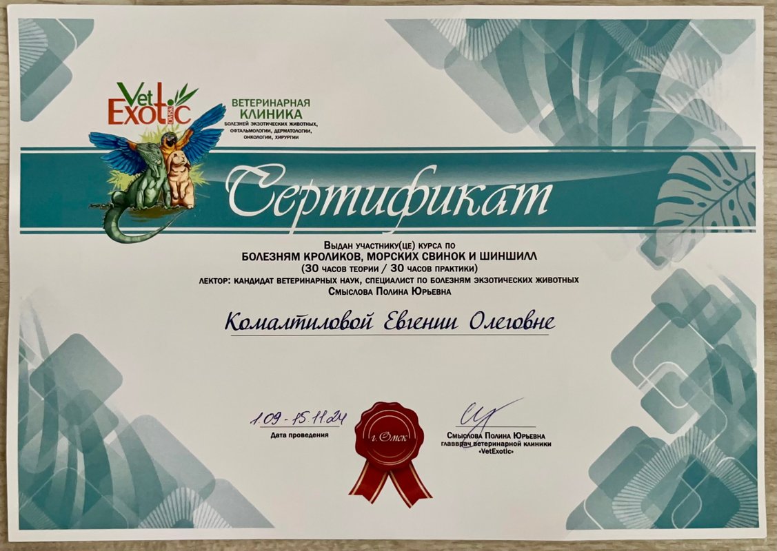 Документ или сертификат