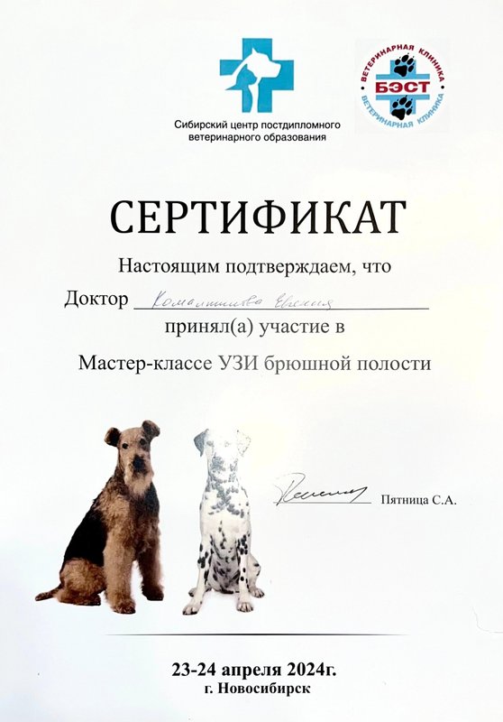 Документ или сертификат