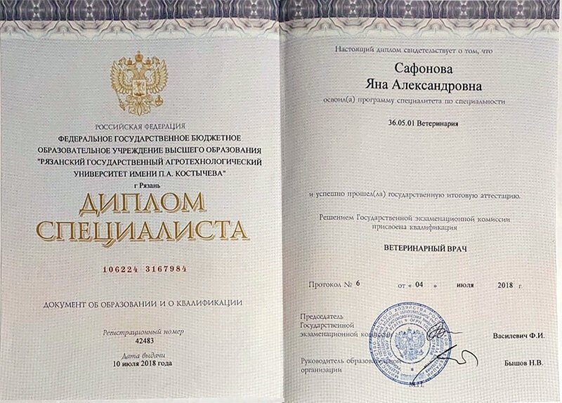 Документ или сертификат