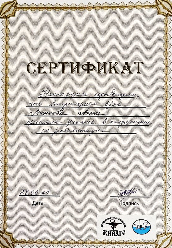 Документ или сертификат